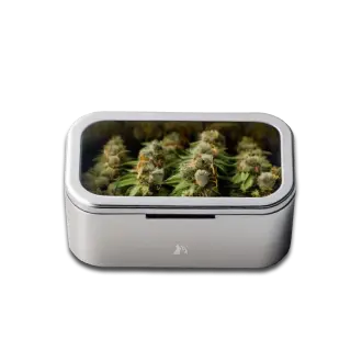 Новогодний подарок в онлайн магазине