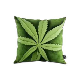 Подарок на новый год